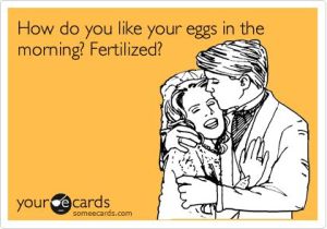 fertilized